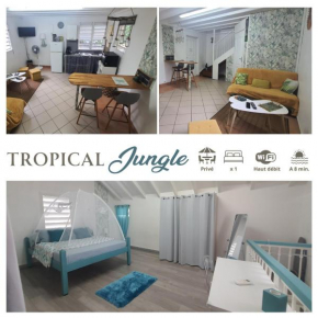Tropical Jungle